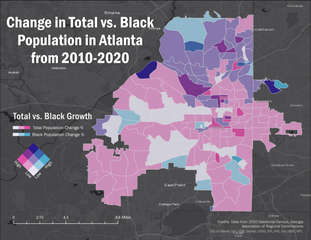 Demographic Shifts in Atlanta