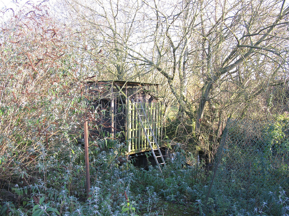 "Duck house"