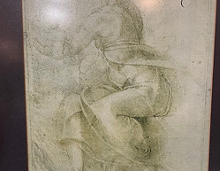 lot117.jpg