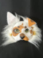 Nugget (left ear bent)
