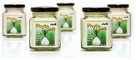 Phyto Corporation, phytosalt, phytomeal, salicornia, 파이토 솔트