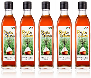 phytosauce, phytomeal, phytosalt, phyto corporation, salicronia, 파이토코퍼레이
