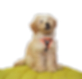 18.png