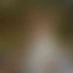 Wedding Dresses Belfast