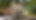 Untitled design-26.png
