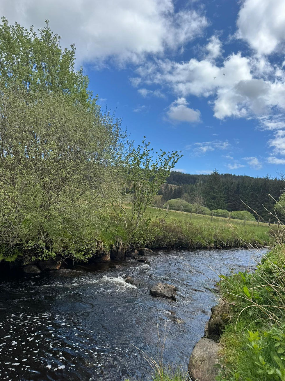 The Unwinding (more than a retreat) - EARLY BIRD