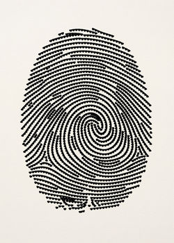 Goyen Chen