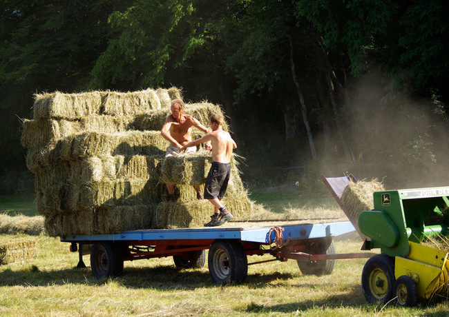 Tremplin_Vert_Feel_Mick_2012_les_foins_5.jpg