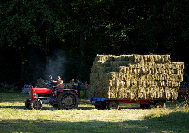 Tremplin_Vert_Artur_2012_les_foins_9.jpg