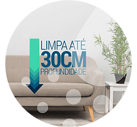 HIGIENIZAÇÃO PROFUNDA A SECO