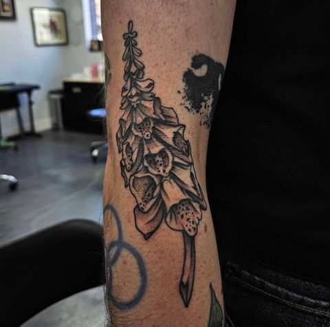 Foxglove tattoo done in a blackwork and illustrative style by Logan Square resident tattoo artist December
