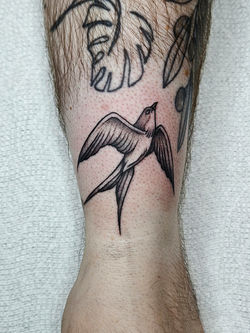 Swallow tattoo Chicago