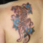 walk-in tattoo completed at Chicago tattoo shop