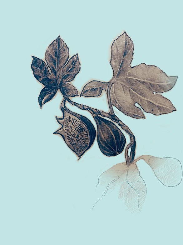 Untitled_Artwork 7_edited.jpg