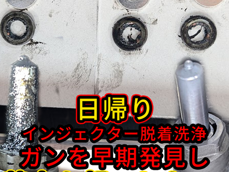 インジェクターの脱着洗浄でガンを早期発見し20万円強を節約