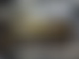 救えなかった・・・症状が進行していなければ当日返せたのに😢