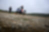 DSC_1133.jpg