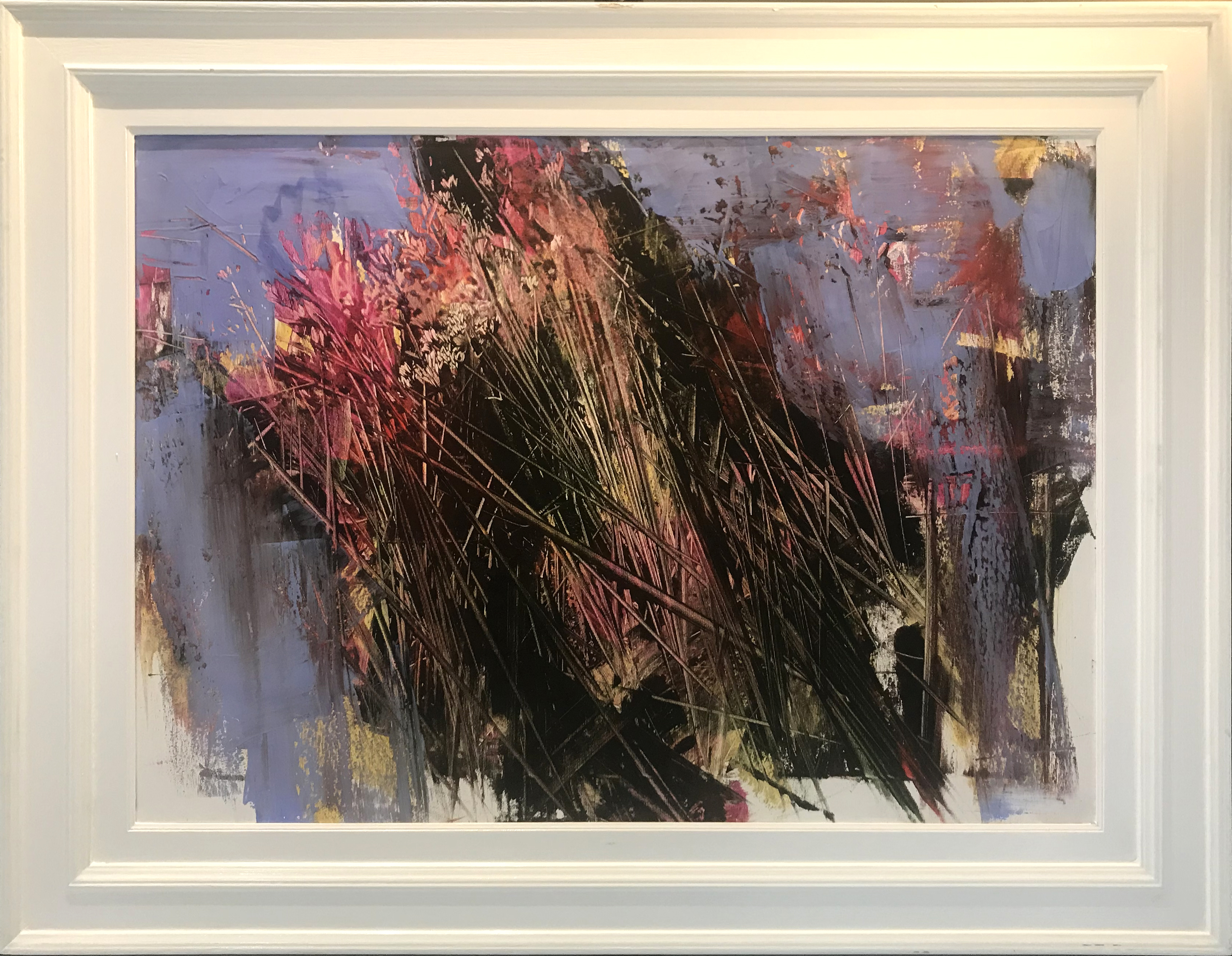 Antonio Pedretti Esplosione floreale