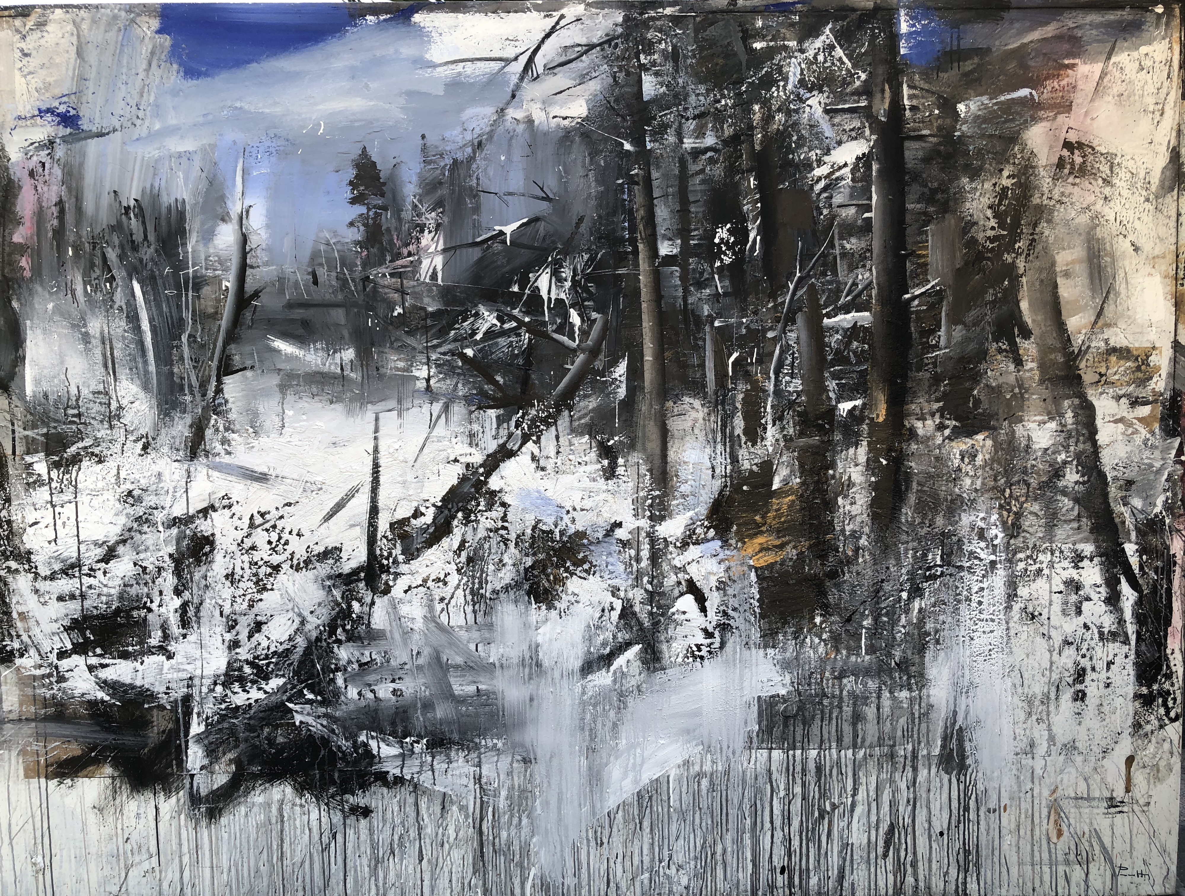 Antonio Pedretti Foresta
