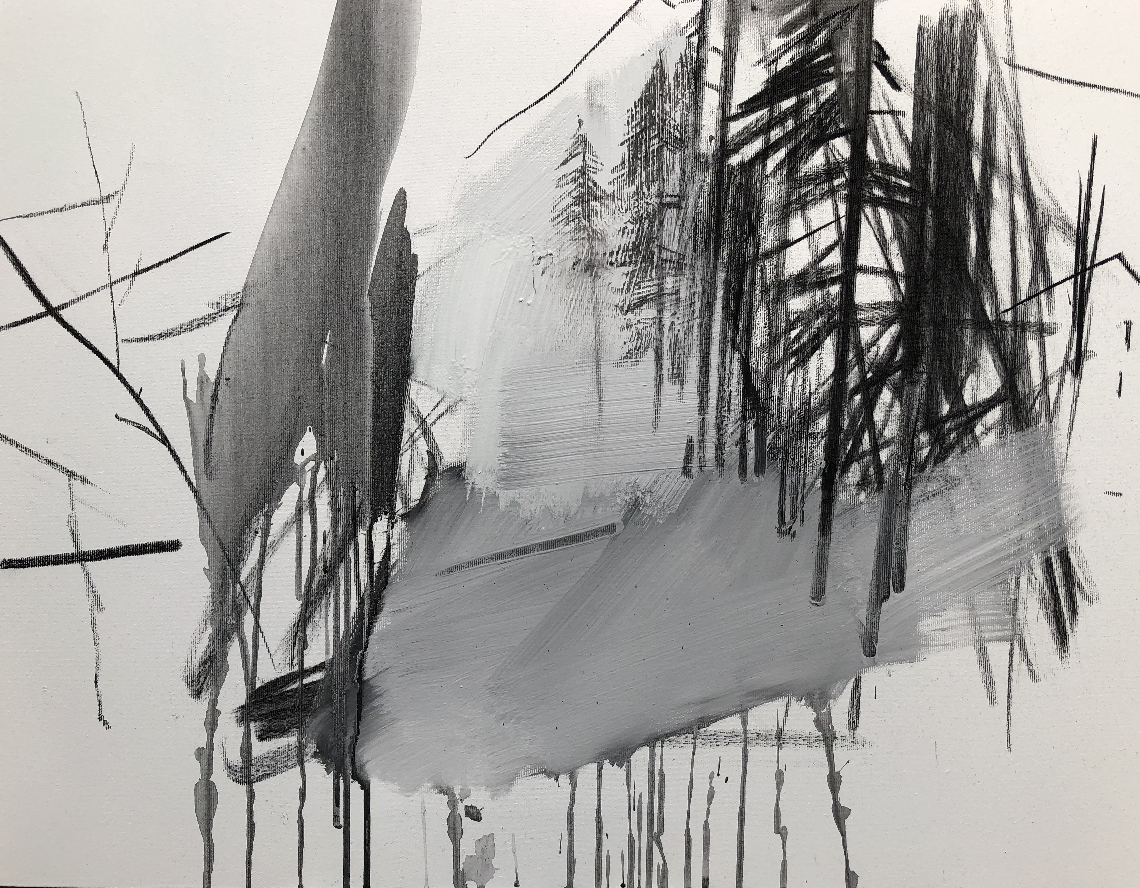 Antonio Pedretti Appunti in B/N