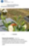Recensione FloreMoria 07