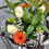 Miniatura: bouquet della collezione tributo eterno