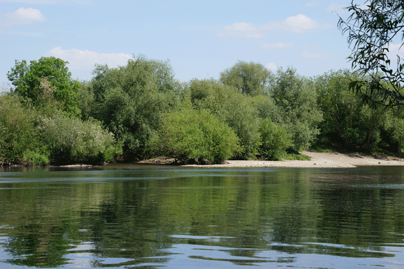 DSC05571.gif