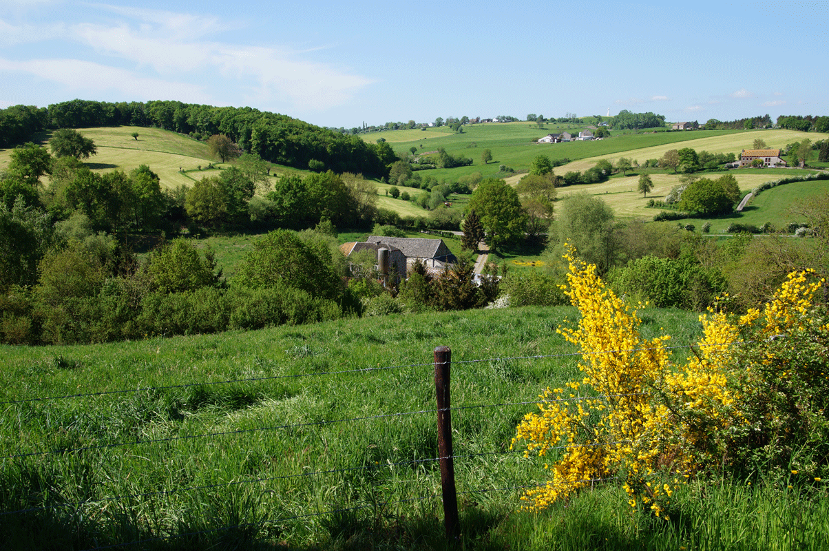 DSC05508.gif