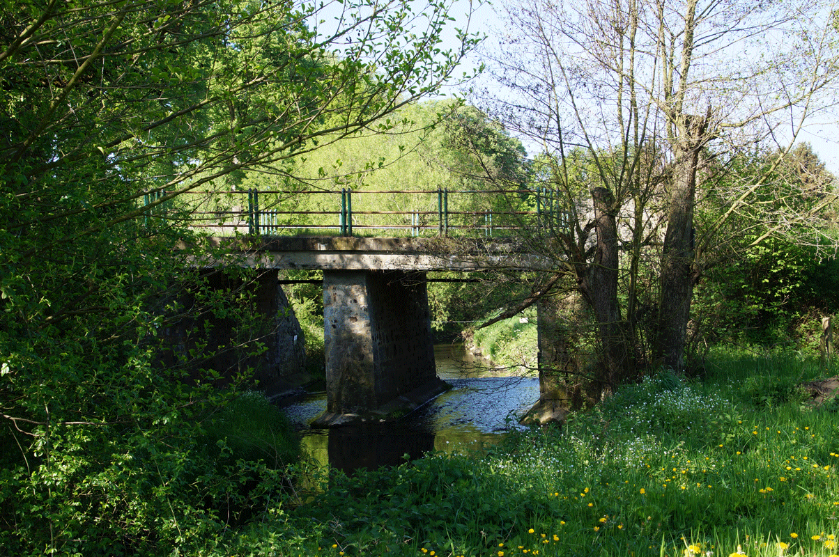 DSC05453.gif