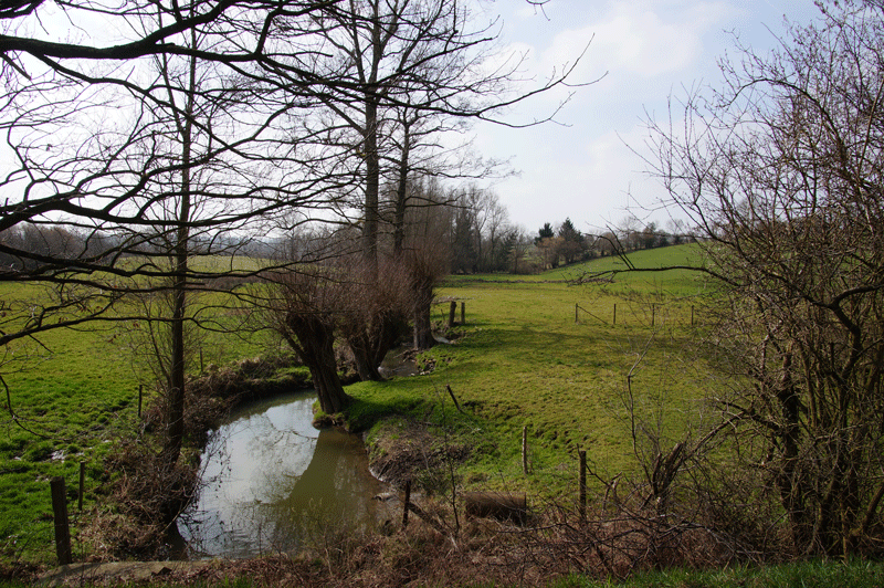 DSC04856.gif