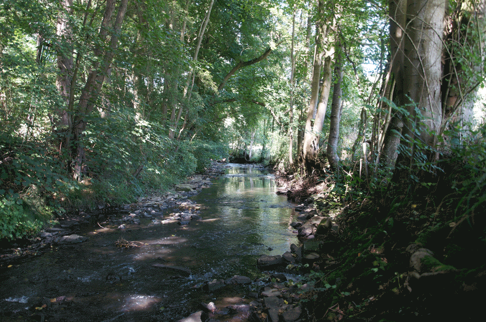 DSC06522