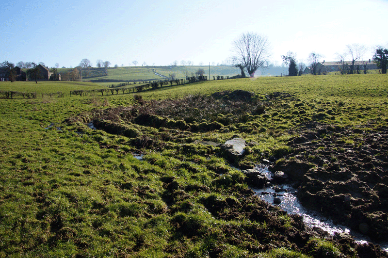 La Berwinne à sa source