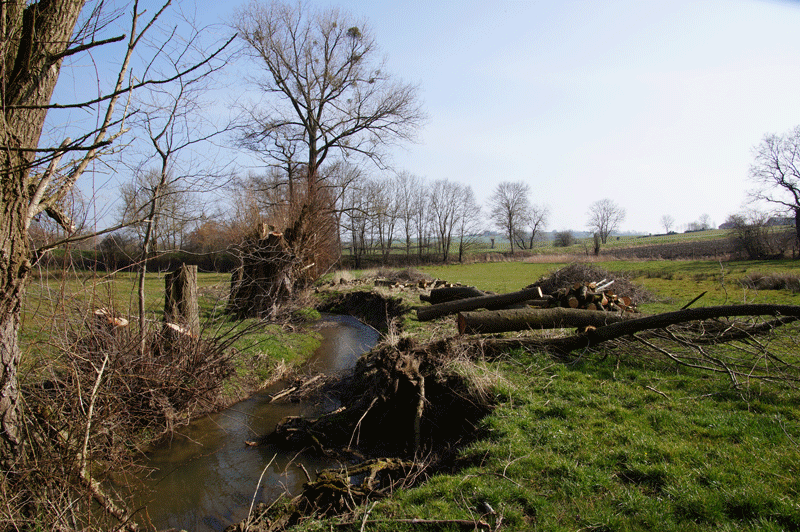 DSC04773.gif