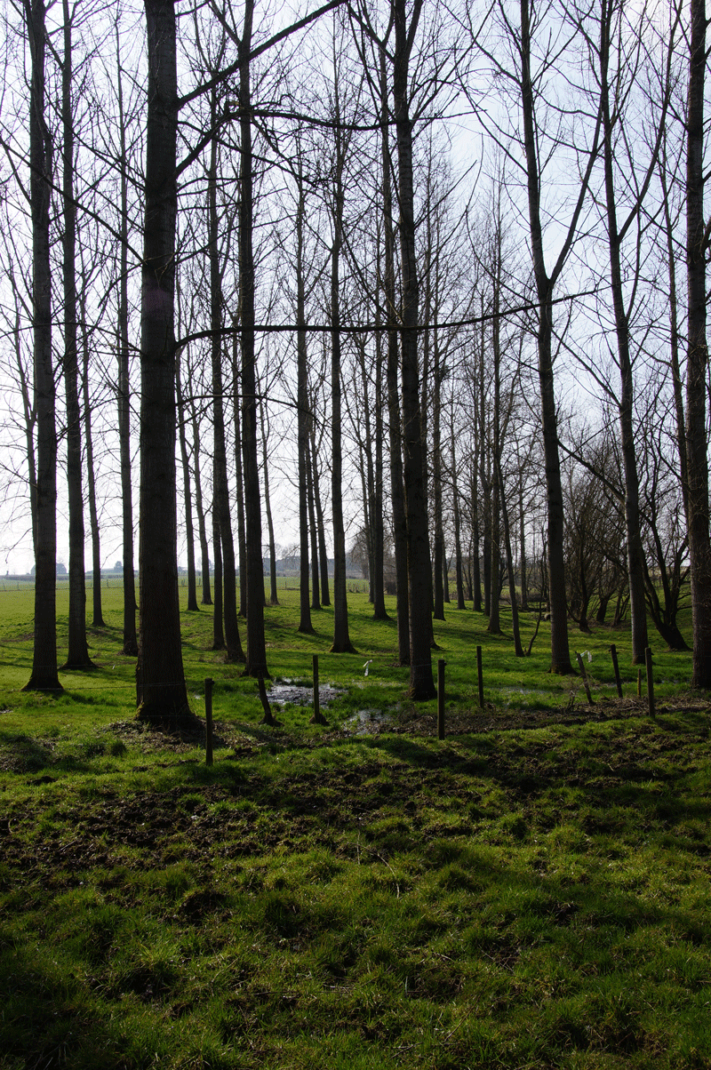 DSC04824.gif