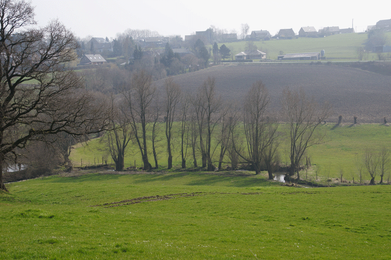 DSC04935.gif