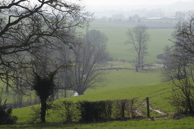 DSC04932.gif