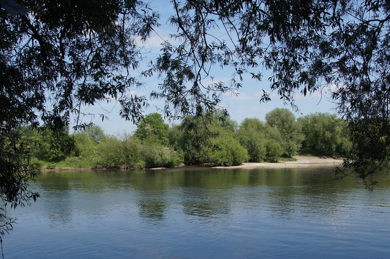 DSC05588.gif