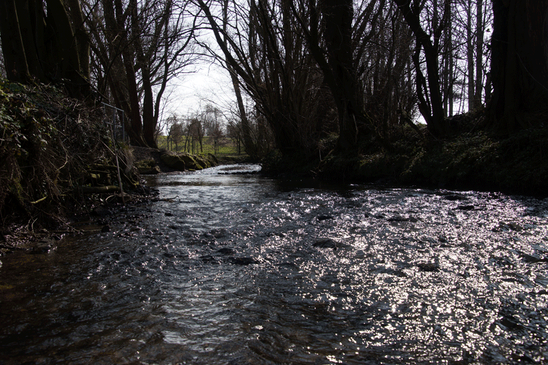 DSC04822.gif