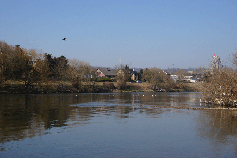 DSC04732.gif