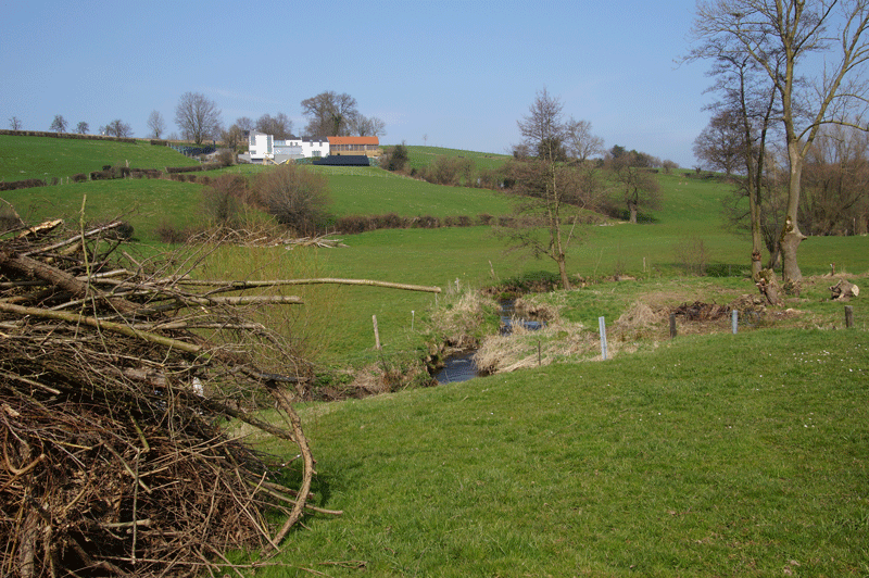 DSC04952.gif