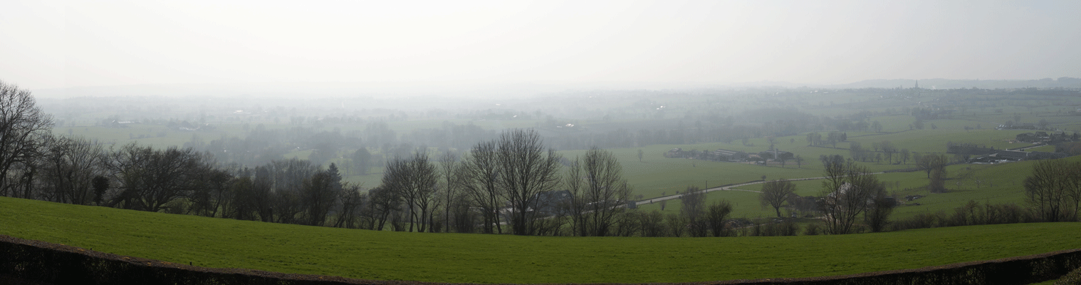 DSC05008.gif