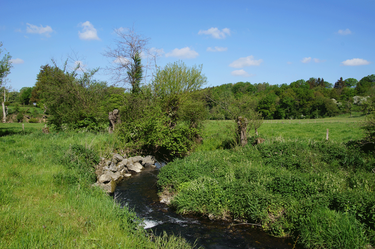 DSC05467.gif