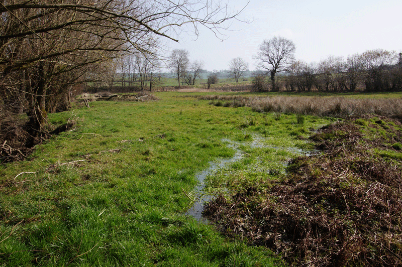 DSC04781.gif
