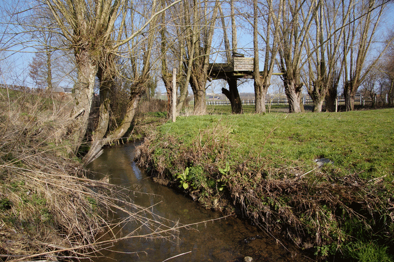 DSC04751.gif