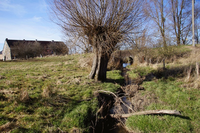 DSC04564.gif