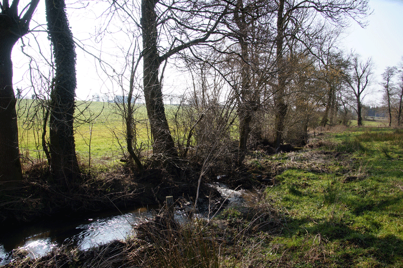 DSC04758.gif