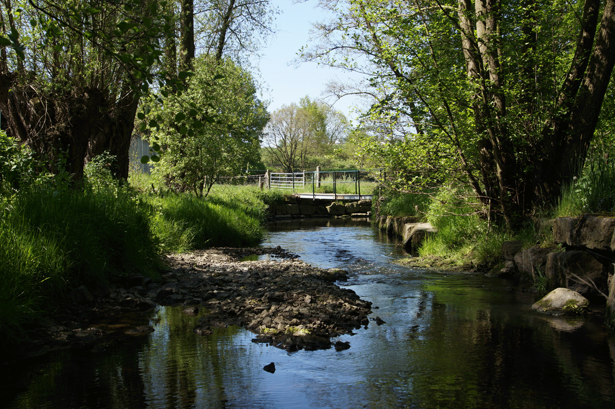 DSC05521.gif