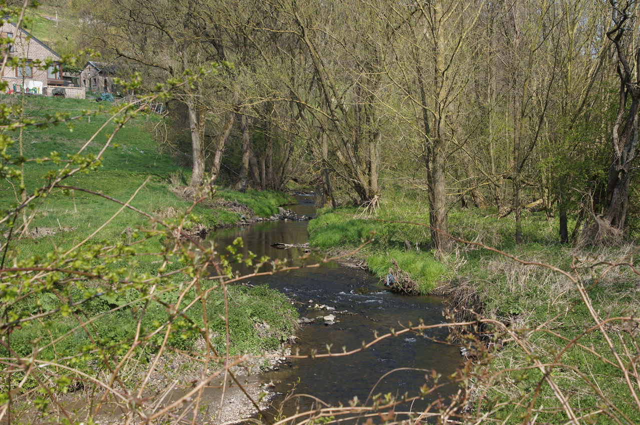 DSC05149.gif