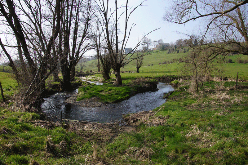 DSC04948.gif