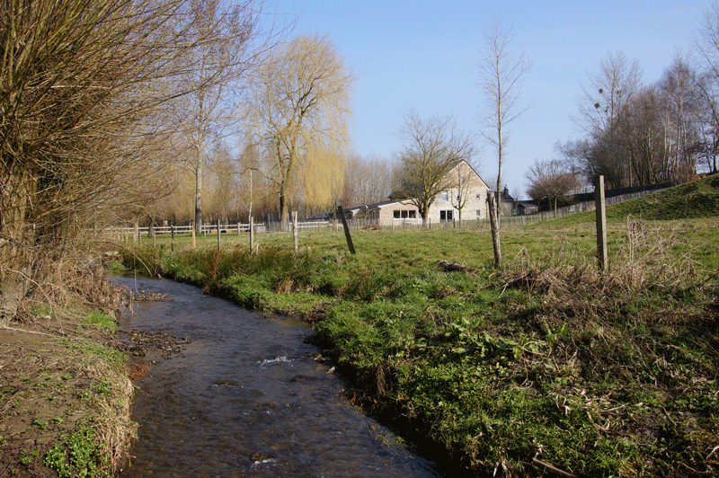 DSC04757.gif